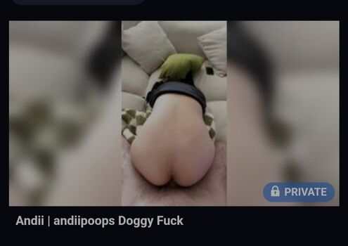 Full leaked Andiipoops private onlyfans photo