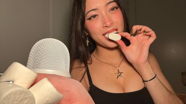 Asmr Emco