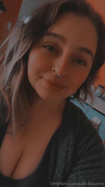 calicosbunny