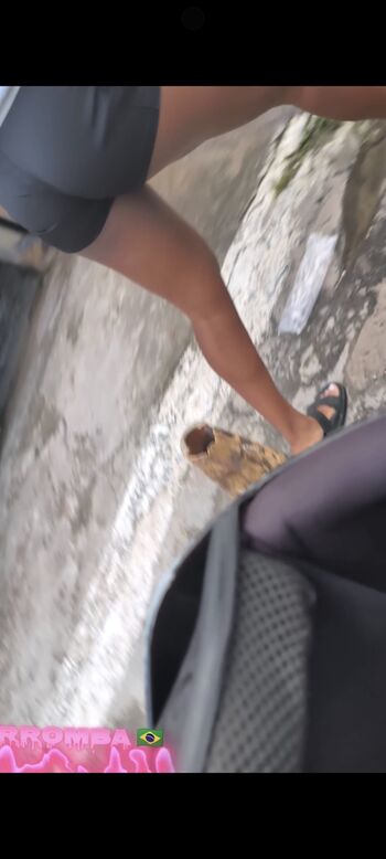 Candid Brasil