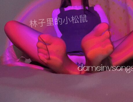 dameinvsongshu