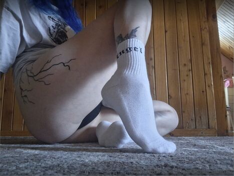 dominique_socksslovakia