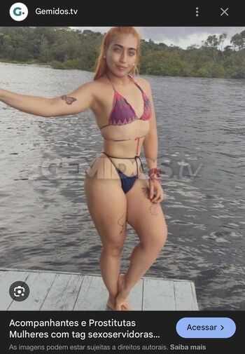 Gatas De Manaus