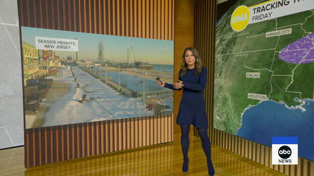 Ginger Zee