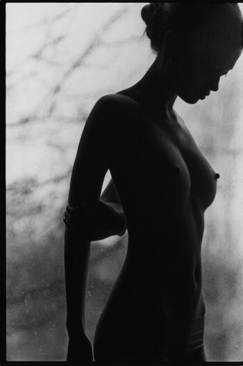 Jennifer Anne Sullins