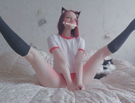 kotya.ch