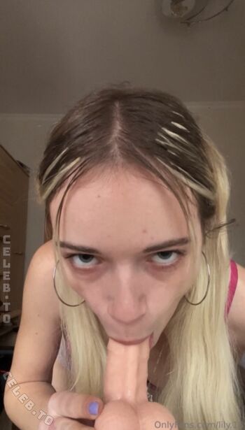 lily.18