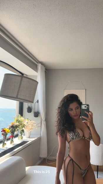 Full leaked Nikki naghavi private onlyfans photo