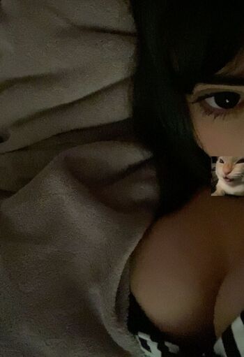 Rayzozoca Twitter