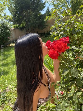 Sasha Rose