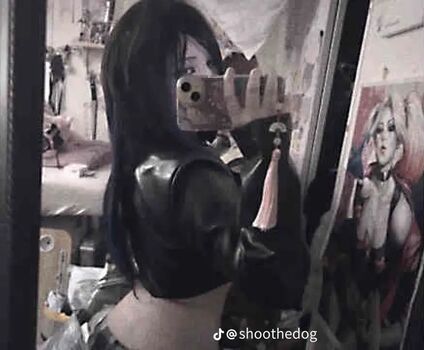 Shoothedogs