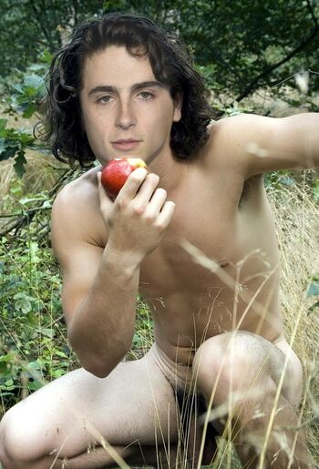 Timothee Chalamet
