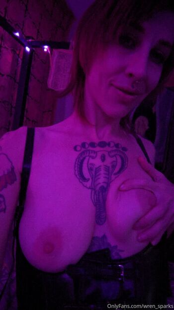 wren_sparks